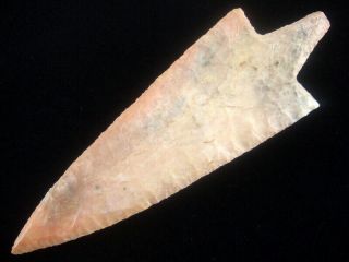 Fine Authentic 6 5/8 Inch Grade 10 Florida Newman Point With Arrowheads