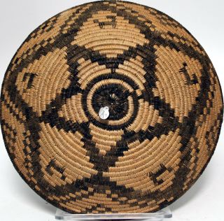 Apache Basketry Winnowing Tray Pictorial w/ Coyotes / 