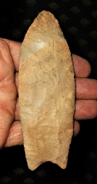 Huge Collector Grade Fluted Clovis - Authentic Paleo Indian Artifact With 3 Coas