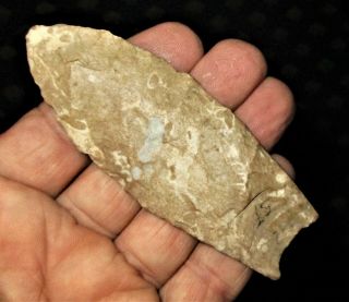 Killer Fluted Clovis Arrowhead - Authentic Paleo Indian Artifact With 2 