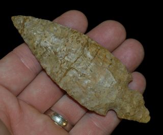 Turkey Tail Kentucky Authentic Indian Arrowhead Artifact Collectible Relic