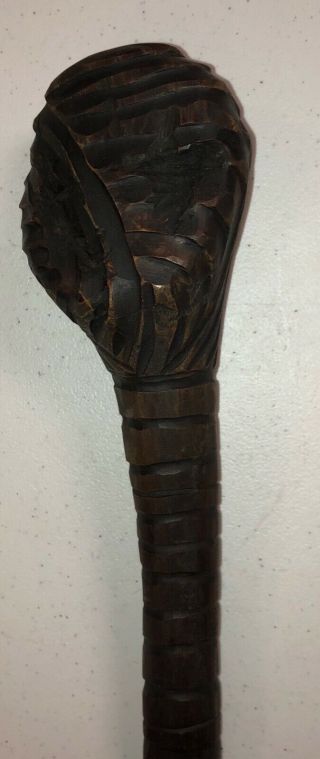 Antique Carved Wood War Club Museum Find 17.  5” Rare 2