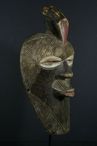 African Female Kifwebe Bird Mask - Songye - D.  R.  Congo,  Tribal Art Primitive
