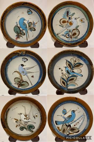 6 Ken Edwards Pottery Tonala Mexico Blue Bird Butterfly Wall Salad Plate Set 8”