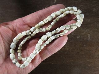 26 In.  Mississippian Necklace Marine Shell Beads Whitfield Co.  Ga Xbeutell