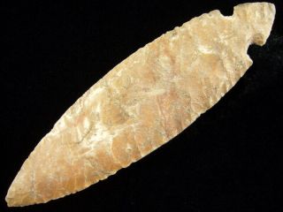 Fine Authentic 5 1/4 Inch Missouri Turkey Tail Point With Indian Arrowheads