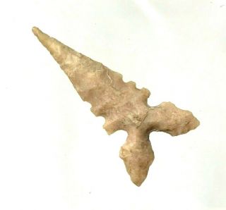 Exceptional Toyah Point Webb Co. ,  Texas Authentic Arrowhead Artifact B2415