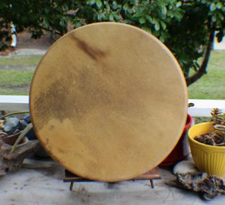 18 " Native American Elk Hide Hand Drum Cherokee Made William Lattie Cert Of Auth