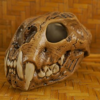 Tiki Mug Panther Skull Undertow Thor Tiki Farm Phoeniz,  Az Swizzle Coaster