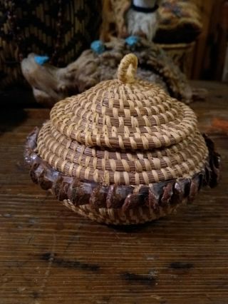 Coushatta Koasati Native American Pine Needle Basket Rita Lejuene