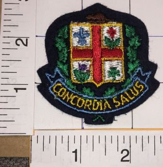 1 Rare Vintage Concordia University Salus Emblem Crest Patch