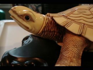 Large Carved Turtle Asian