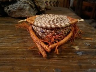 Coushatta Koasati Native American Pine Needle Basket Crab Effigy Ada Abbey