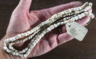 37 In.  Mississippian Necklace Marine Shell Beads Whitfield Co.  Ga Xbeutell