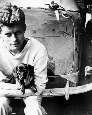 Jfk John F.  Kennedy With Dachshund At The Hague Netherlands 1937 8x10 Photo