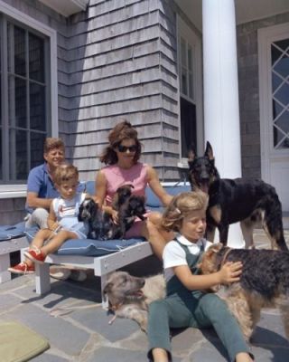 President John F.  Kennedy And Family With Dogs At Hyannis Port - 8x10 Photo