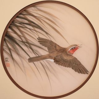 Hung Chu Lee Bird Watercolor On Silk,  Signed,  Framed &