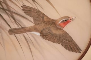 Hung Chu Lee Bird Watercolor on Silk,  Signed,  Framed & 3