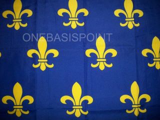3 ' x5 ' Fleur De Lis Flag French Cajun Creole Party Louisiana Banner France 3x5 2
