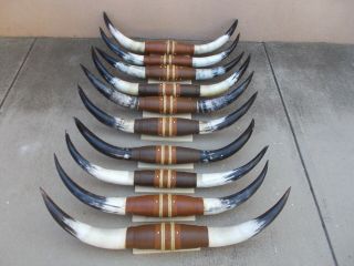 Mounted Steer Horns 3 Feet 1 Inch To 3 Feet 6 Inch Wide Cow Bull Longhorn Cattle