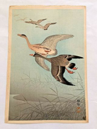 Antique Signed Japanese Woodblock Print By Ohara Koson - Wild Geese
