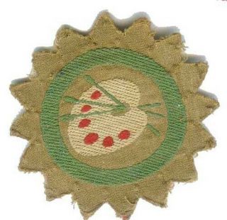 Denmark Boy Scout Artist Proficiency Extinct Badge