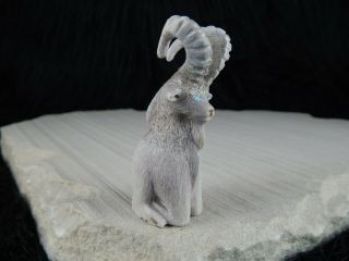 Mountain Goat Zuni Fetish Carving - Maxx Laate