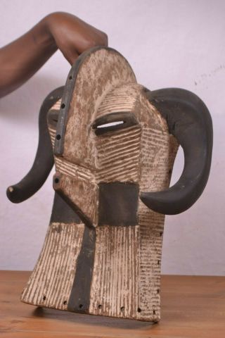 African Tribal Art,  Songye Animal Mask From Democratic Republic Of Congo