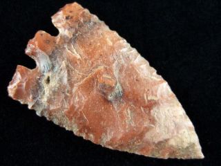 Fine Authentic Grade 10 Florida Hernando Point With Indian Arrowheads