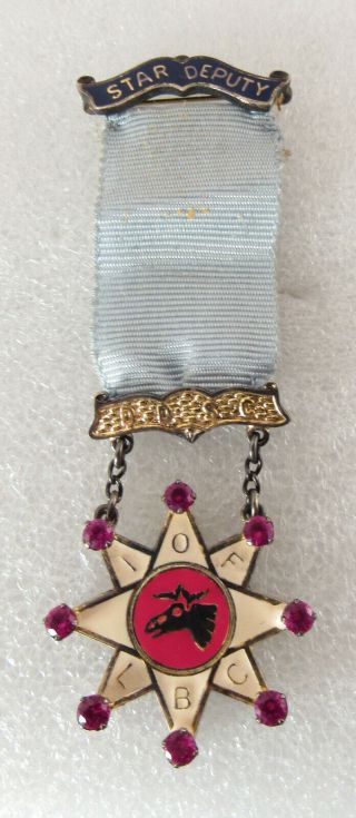 Sterling Silver Star Deputy Iof Lbc Independent Order Of Foresters Ribbon Pin