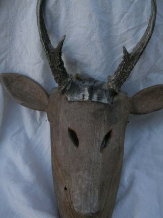 " Deer " Dance Mask,  Real Antlers,  Hand Carved Wood.  20th Century