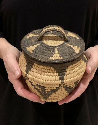 Fine Native Papago - Pima Indian Basket Olla Vase Geometric Design Devils Claw