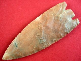 Fine Authentic 3 1/4 Inch Florida Hernando Point Indian Arrowheads
