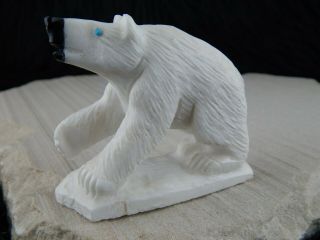 Polar Bear Zuni Fetish Carving - Derrick Kaamasee