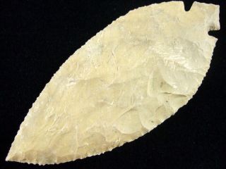 Fine Authentic 5 1/8 Inch Grade 10 Tennessee Turkeytail Point Wt Arrowheads