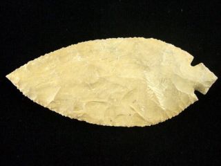 Fine Authentic 5 1/8 inch Grade 10 Tennessee Turkeytail Point wt Arrowheads 2