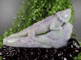 Certified Green Lavender Nature Jadeite Jade Statue Sculpture Lizard 蜥蜴 C5484f