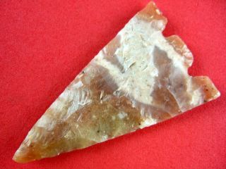 Fine Colorful Authentic Florida Hernando Point Indian Arrowheads