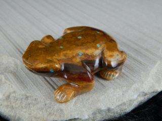 Frog Zuni Fetish Carving - Nelson Yatsattie