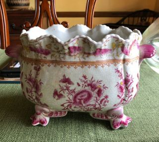 United Wilson 1897 Porcelain Pink And White Cachepot Cherub 