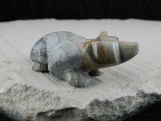 Badger Zuni Fetish Carving - Nelson Yatsattie 3