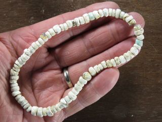 12 In.  Mississippian Necklace Marine Shell Beads Whitfield Co.  Ga Xbeutell