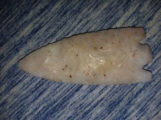 Arrowhead Deep South Artifact Florida Hernando Coral Ancient Archaic Paleo Trans