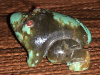 Zuni Carved Turquoise Turtle Fetish Signed By Tyler Quam - Native American (d. )