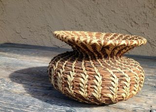 Coushatta Native American Coiled Pine Needle Woven Decorative Round Basket La