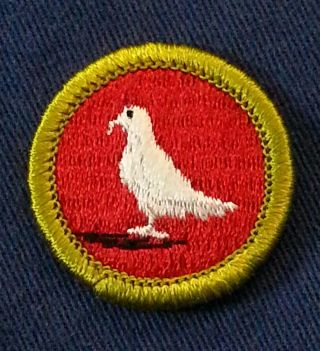 Bsa Pigeon Raising Merit Badge Type H (1972 - 2002) Plastic Back A00065