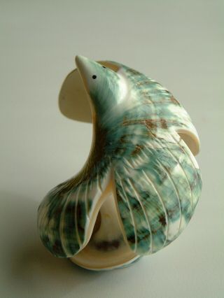 Zuni Sea Snail Shell Eagle Fetish By Delvin Leekya