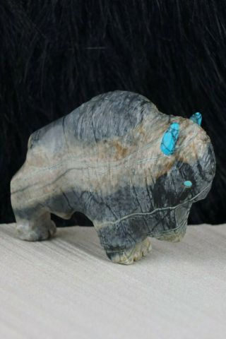 Buffalo Zuni Fetish Carving - Kevin Quam
