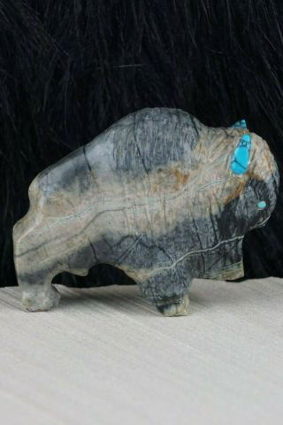 Buffalo Zuni Fetish Carving - Kevin Quam 2
