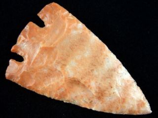 Fine Authentic Grade 10 Florida Citrus Point With Indian Arrowheads